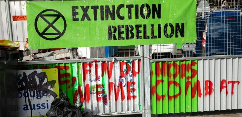 Extinction Rebellion, Trump… Attention aux intox de la semaine