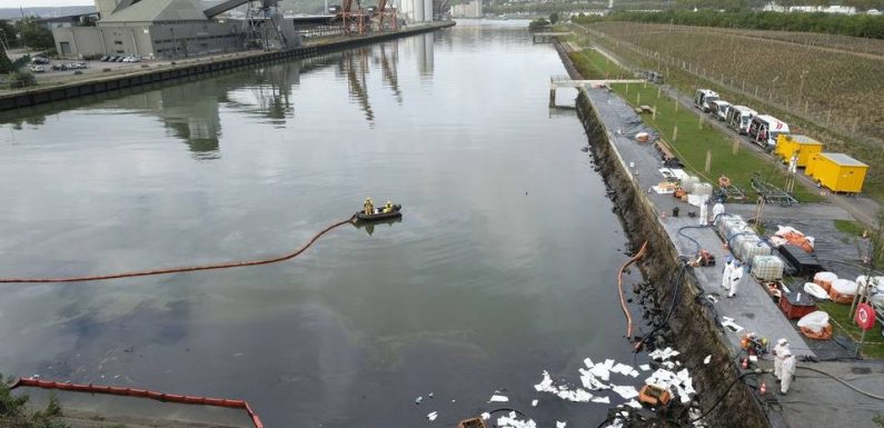 Incendie de Lubrizol : La technique de nettoyage utilisée sur la Seine est-elle vraiment efficace ?