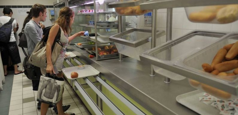 Semaine du goût : Une centaine d’élèves victimes d’une intoxication alimentaire dans un lycée de Cahors