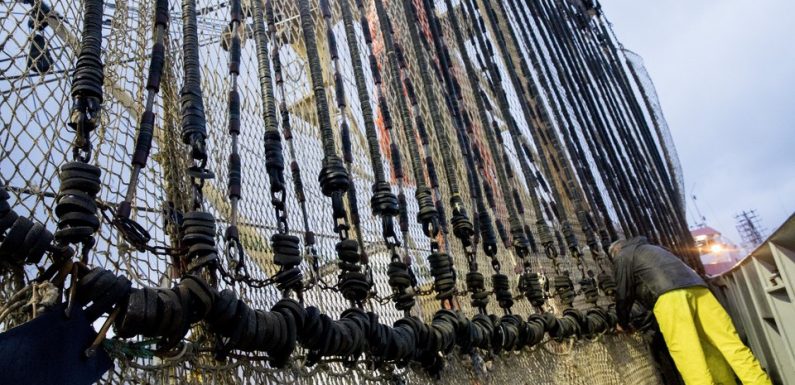 Pays-Bas : Le pays va contester l’interdiction de la pêche électrique pas l’Union européenne