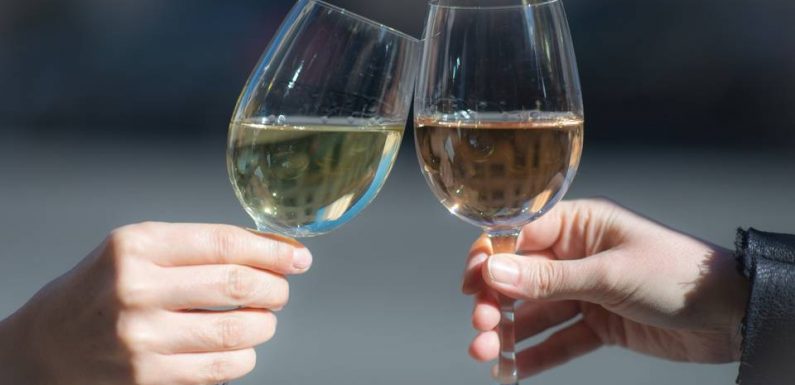 Vin : Mauvaise nouvelle… La production mondiale a baissé de 10 % en 2019