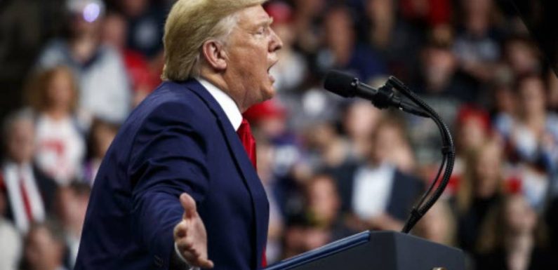 Donald Trump condamne une vidéo parodique violente le mettant en scène