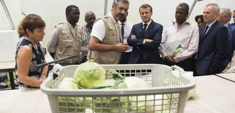 Pollution au chlordécone : Que peut-on espérer de la commission d’enquête ?