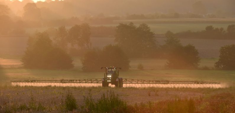 Glyphosate : Plus de 40 plaintes déposées à La Rochelle pour « mise en danger de la vie d’autrui »