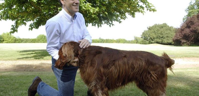 QUIZ. Bichon de Chirac, poule de Macron… Connaissez-vous bien les animaux des politiques ?