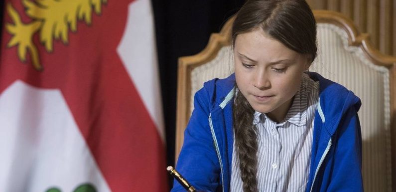 Lubrizol, Greta Thunberg… Attention aux intox de la semaine