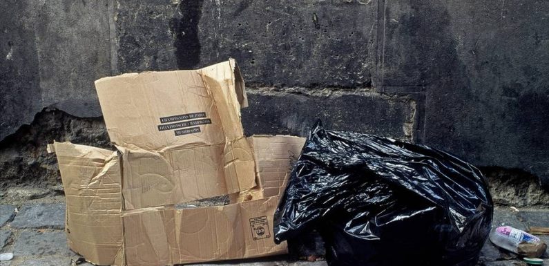 Lyon : Collecter des déchets, le bizutage écolo des étudiants