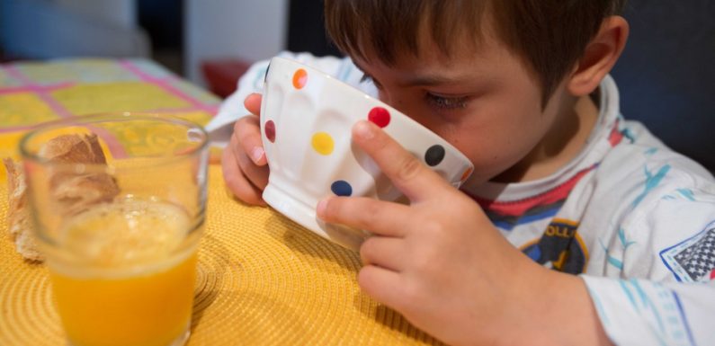 Bordeaux : Deux écoles prioritaires vont expérimenter le petit-déjeuner gratuit à l’école