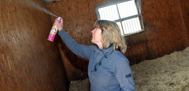 Pesticides : L’Anses alerte contre les produits nuisibles et mal utilisés à la maison