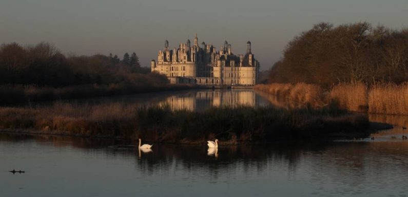 « Chambord » : Un documentaire animalier pour célébrer 500 cycles de saisons et d’Histoire
