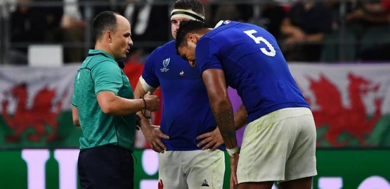 Coupe du monde de rugby : Jaco Peyper « reconnaît que la photo était déplacée »