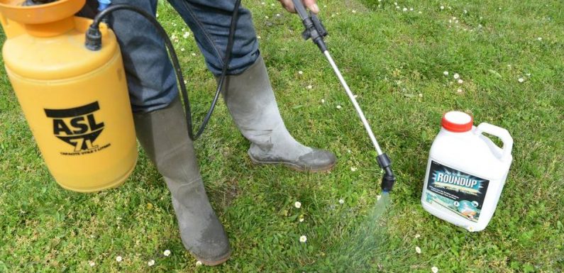Haute-Garonne: A Ramonville, le maire prend (lui aussi) un arrêté anti-pesticides