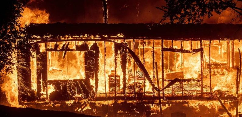 Californie: Un violent incendie ravage la région viticole de Sonoma