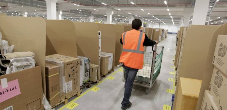 Plateforme Amazon à Lyon : Le tribunal administratif examine jeudi le recours de deux associations