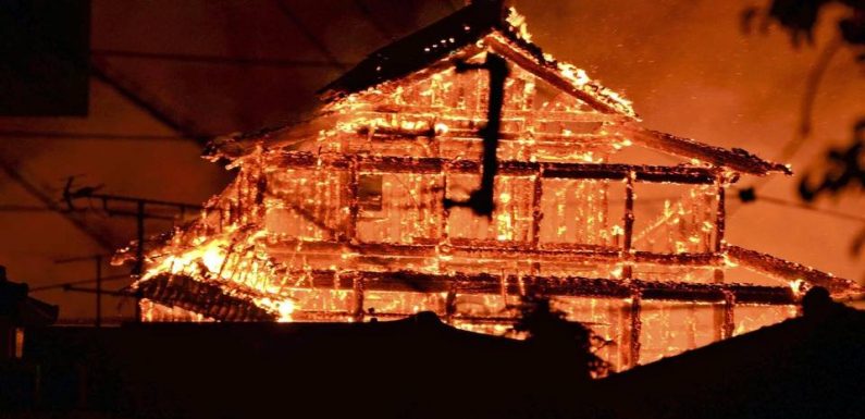 Les infos immanquables du jour : château en flammes, hydre terroriste, canard gavé et pommes macabres