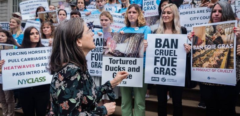 New York : La commercialisation du foie gras interdite à partir de 2022