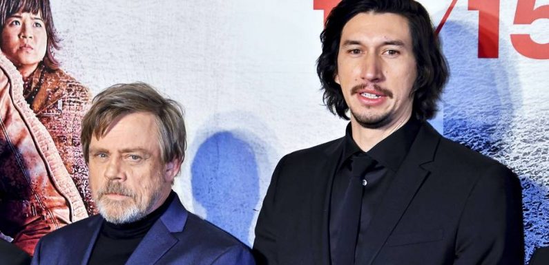 Mark Hamill et Adam Driver de « Star Wars » ont permis de retrouver un chien perdu