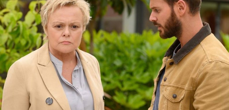 «Le Premier oublié»: Le téléfilm inspiré de faits réels, un filon porteur pour TF1