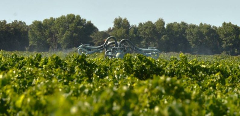 Drôme : La justice suspend l’arrêté anti-pesticides de la mairie de Saoû