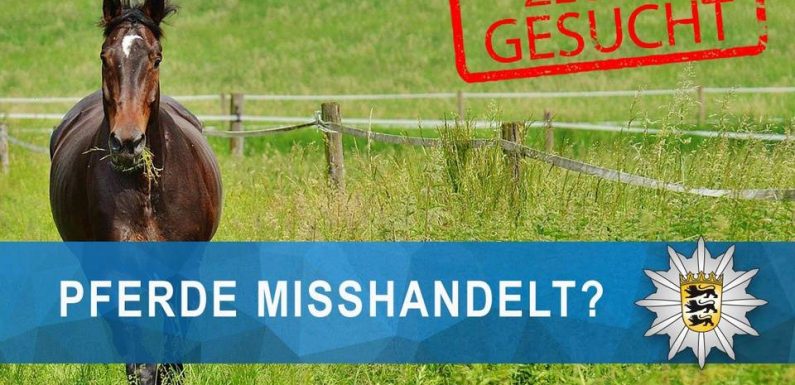 Allemagne : Appel à témoins lancé après des agressions sur des chevaux