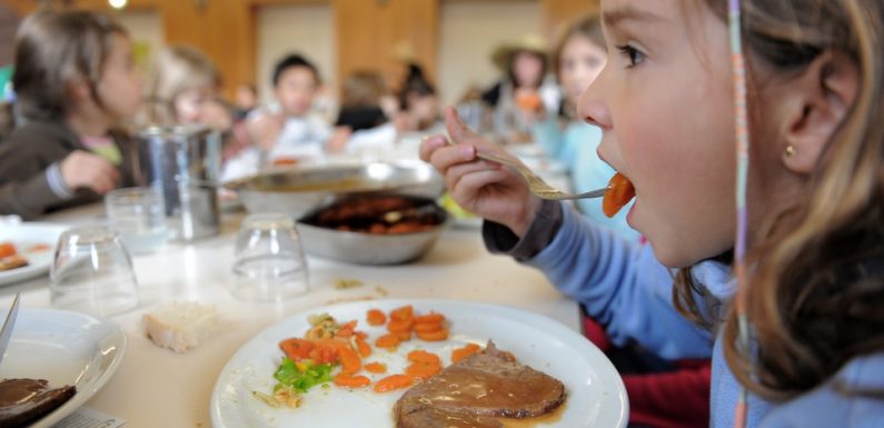Nantes : Un plan d’actions pour manger plus local, plus bio et plus sain dans la métropole