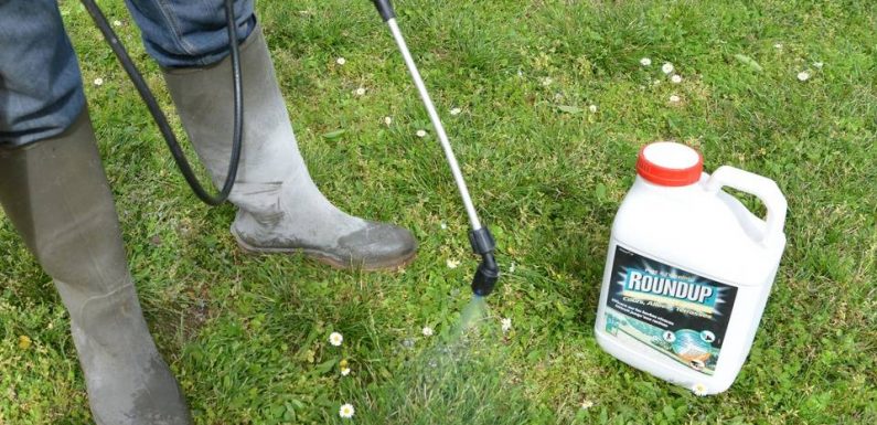 Glyphosate : Le nombre de requêtes visant Bayer aux Etats-Unis explose à 42.700