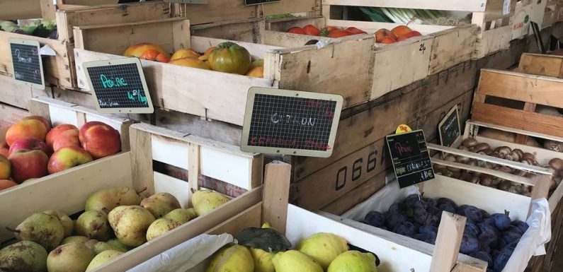 Nice : Comment « manger local » quand on vit sur la Côte d’Azur ?