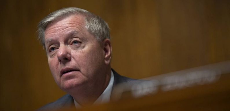 Syrie : Un sénateur proche de Trump le conjure de « revenir » sur le retrait des troupes américaines