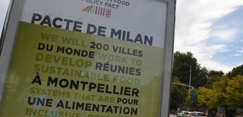 Pacte de Milan : Pourquoi Montpellier est une capitale de l’agroécologie