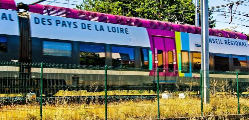 L’ouverture des TER à la concurrence sur de mauvais rails ?