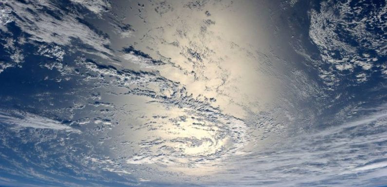 Extinction de masse : A quoi ressemblerait la planète si l’homme disparaissait ?