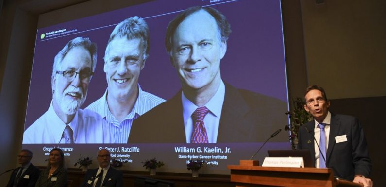 Le Prix Nobel de médecine décerné à deux chercheurs américains et un Britannique pour leurs recherches permettant de lutter contre le cancer et l’anémie