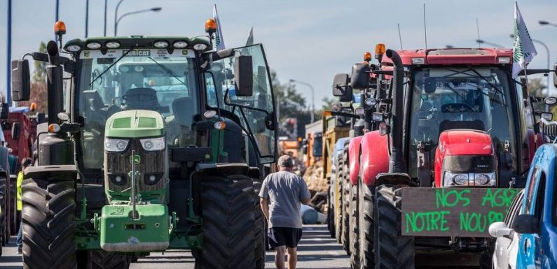 Toulouse : Quelles sont les actions prévues par des agriculteurs lundi soir et mardi ?