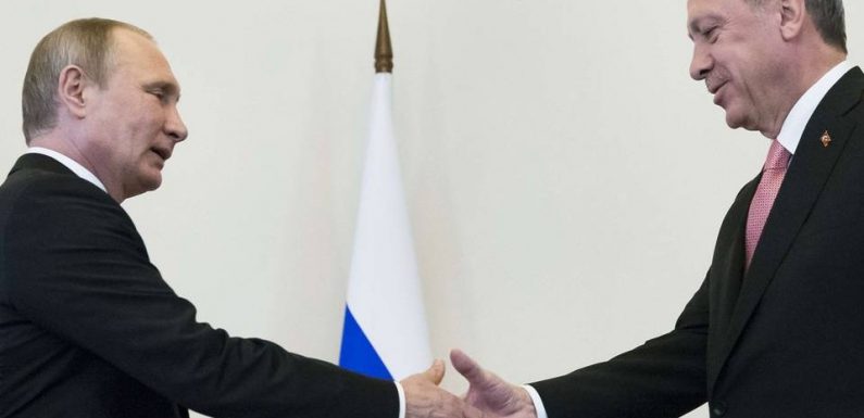 Offensive turque contre les Kurdes : Vladimir Poutine a invité Recep Tayyip Erdogan en Russie « dans les prochains jours »