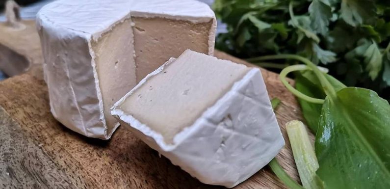 Lille : Une boutique de fromages vegan ouvrira bientôt à Wazemmes