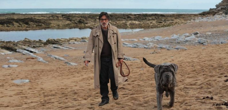 Yvan Attal et Charlotte Gainsbourg : « Le couple de « Mon chien Stupide » n’a rien à voir avec le notre »