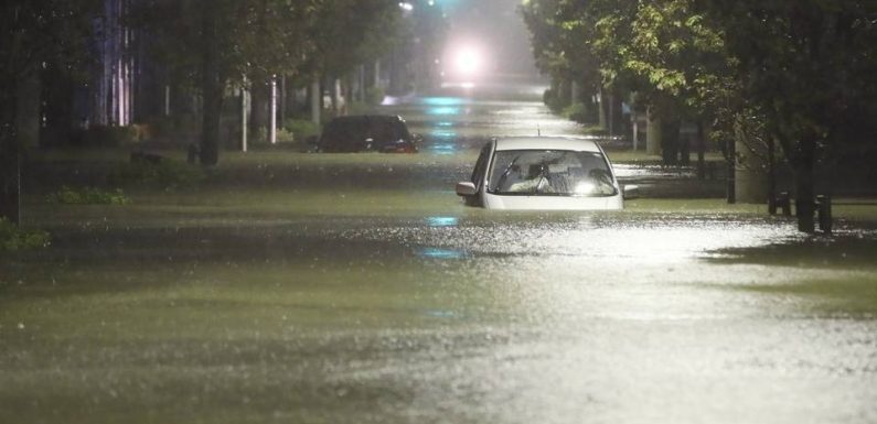 Japon: Le typhon Hagibis déferle sur l’est du pays et bouscule le Mondial de rugby