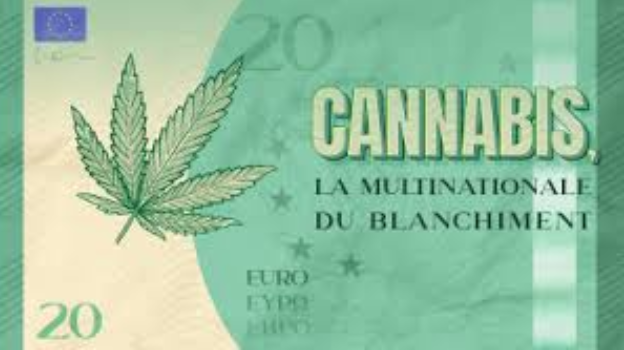 Le business du cannabis ou comment un milliard d’euros peut voyager sans laisser de trace