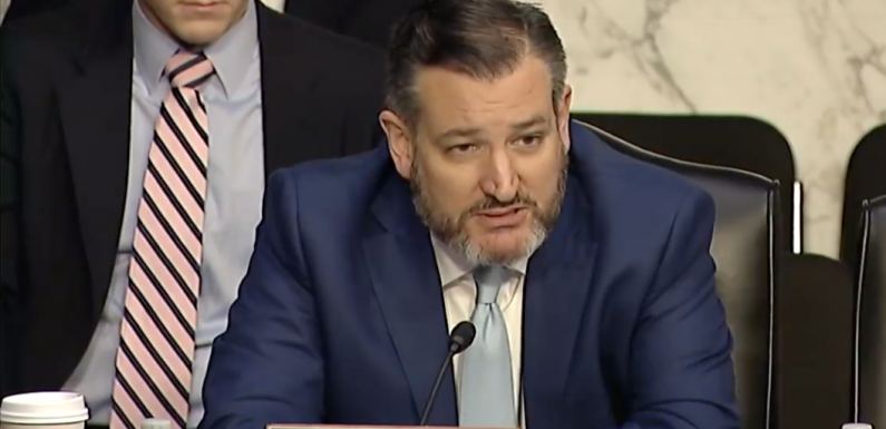 Le sénateur Cruz cuisine un cadre de Google au sujet d’une histoire de taupe