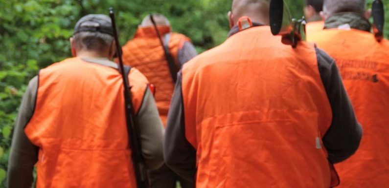 Quincampoix-Fleuzy : relaxé après l’accident de chasse mortel