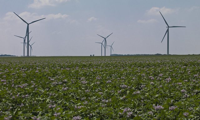 Les Français ne veulent plus d’éoliennes terrestres