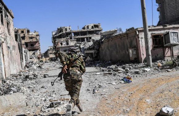 Combat contre Daech : ces «frères d’armes» français tombés avec les Kurdes