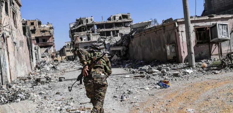 Combat contre Daech : ces «frères d’armes» français tombés avec les Kurdes