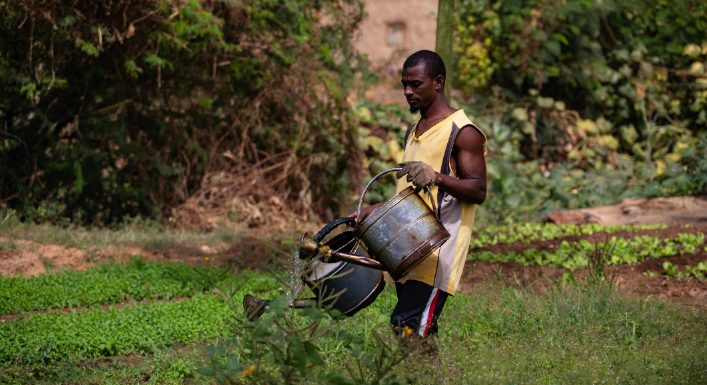 Près de 14 % des aliments perdus entre la ferme et le supermarché
