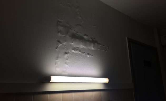 À la résidence Mermoz, des étudiants en lutte contre les cafards et punaises de lit