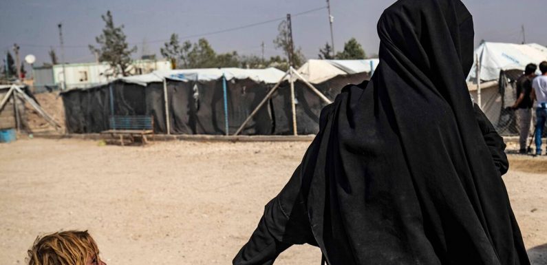 Ne pas rapatrier les djihadistes français retenus en Syrie « fait courir un risque » à notre pays