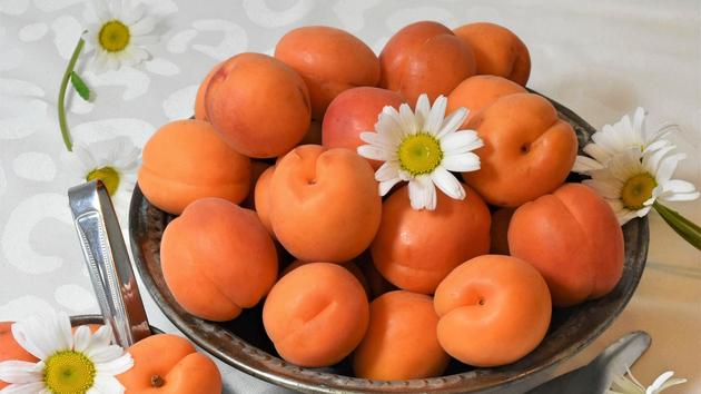 Dix mots d’arabe que vous employez sans le savoir