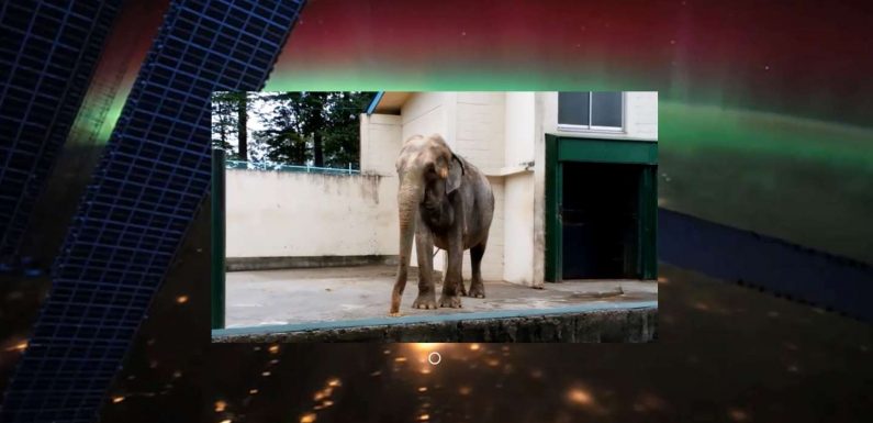 Dans le « Web solitaire », personne ne vous verra poster
