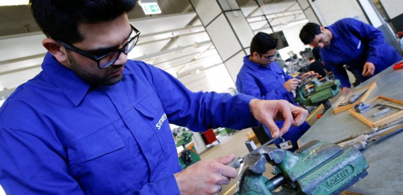 Emploi en France : dans quels secteurs les réfugiés trouvent-il le plus un emploi ?