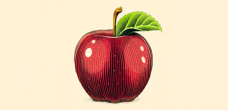 Rhume, bronchite, angine, gastro… Les aliments qui nous protègent